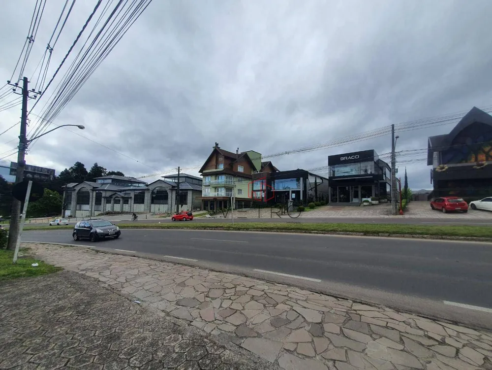 Terreno, 9900 m² - Foto 4