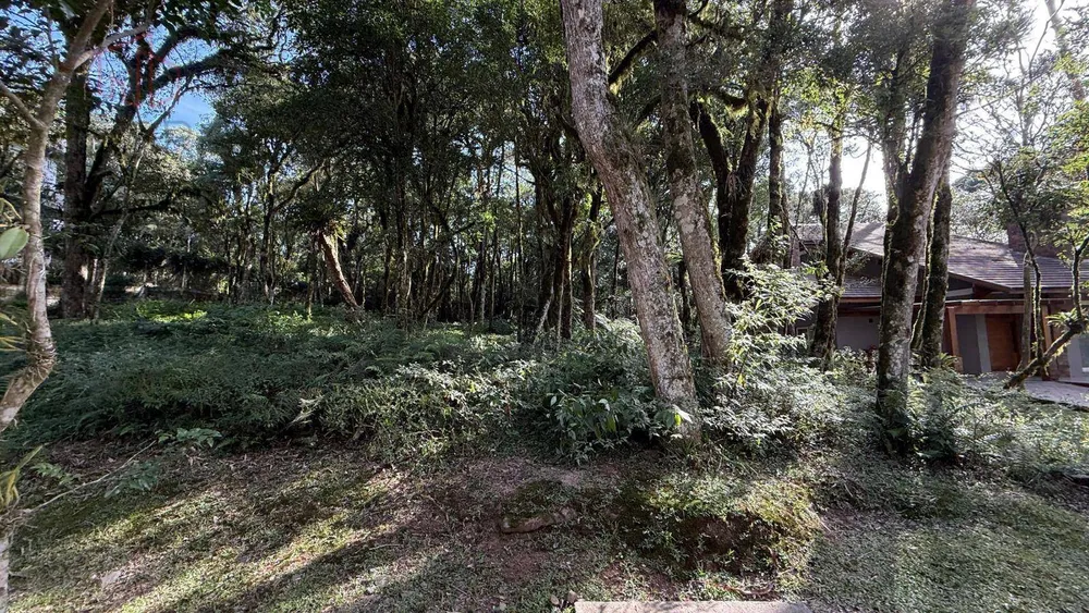Loteamento e Condomínio, 600 m² - Foto 4