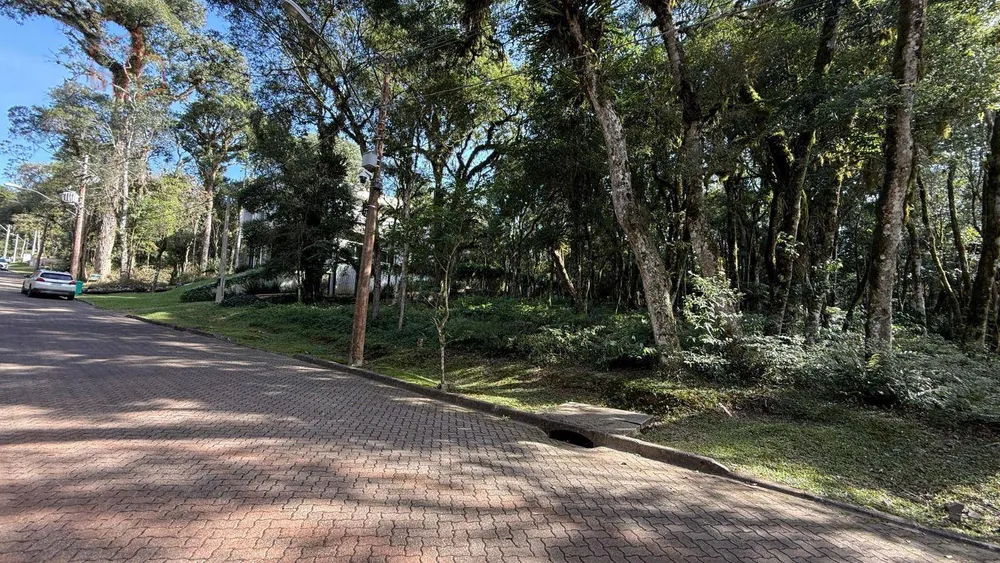 Loteamento e Condomínio, 600 m² - Foto 3