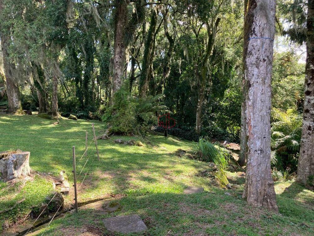 Casa, 3 quartos, 208 m² - Foto 4