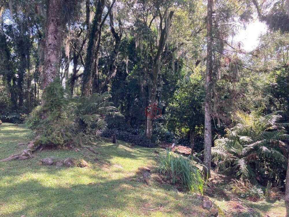 Casa, 3 quartos, 208 m² - Foto 1