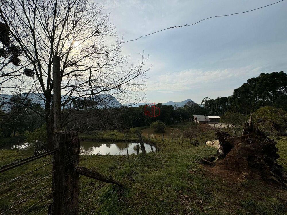 Sítio, 4 quartos, 10 hectares - Foto 6