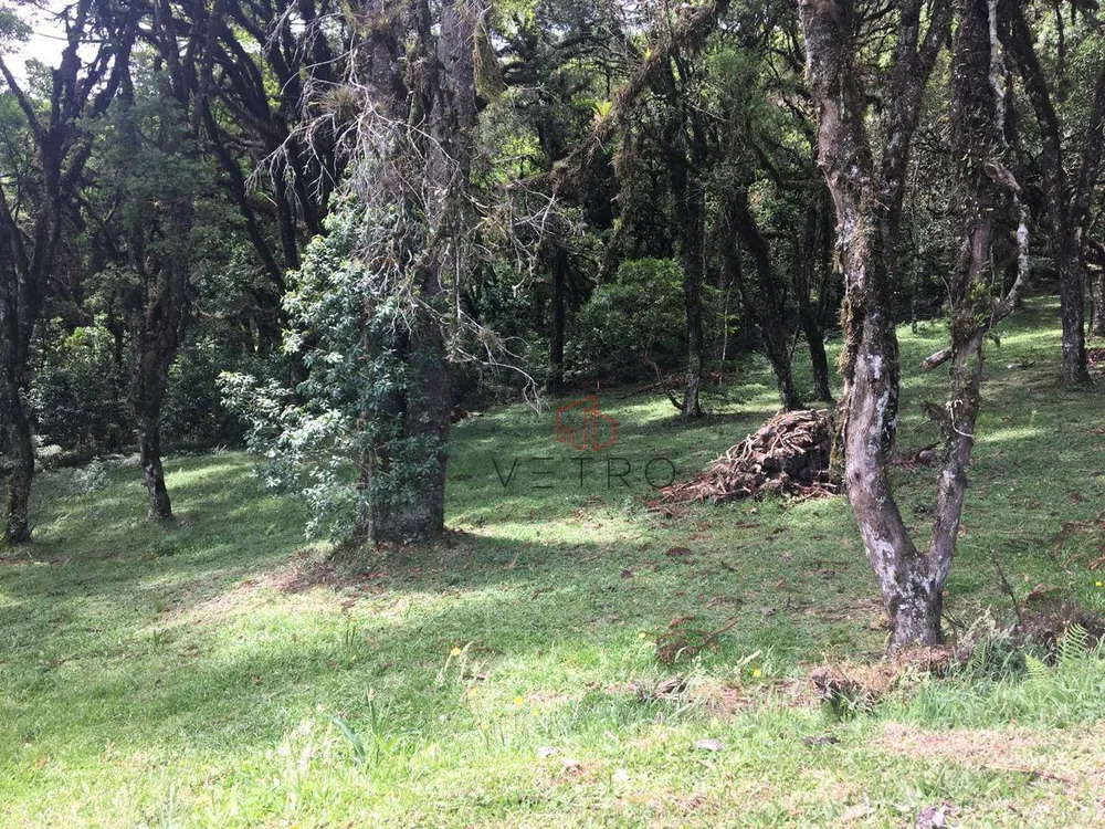 Loteamento e Condomínio, 595 m² - Foto 2