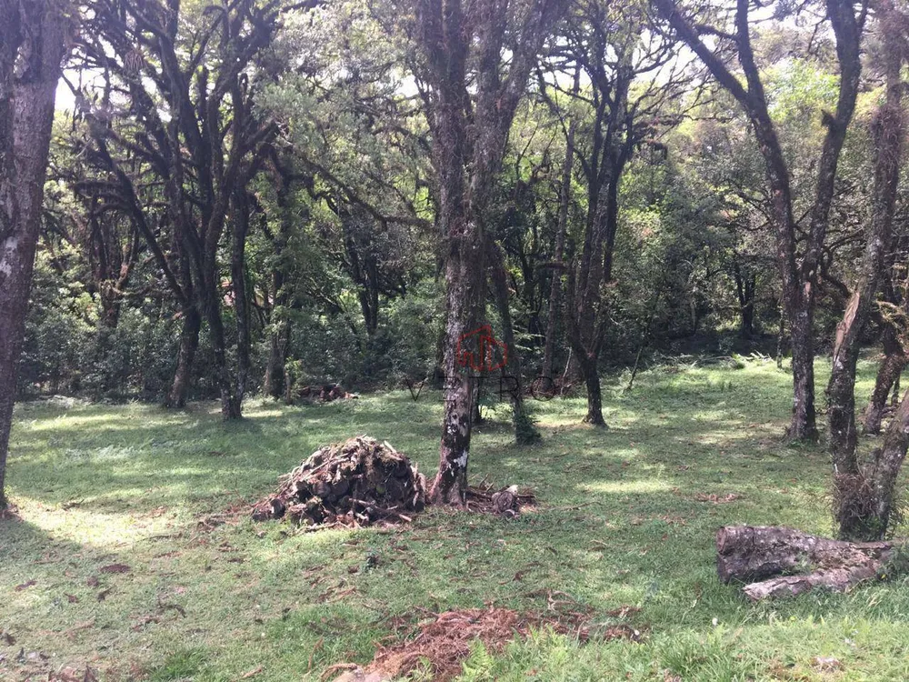 Loteamento e Condomínio, 595 m² - Foto 2
