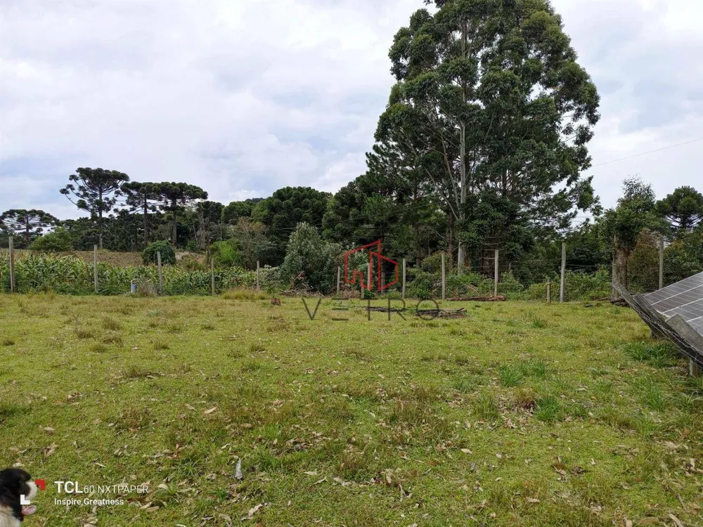 Sítio, 2 hectares - Foto 4