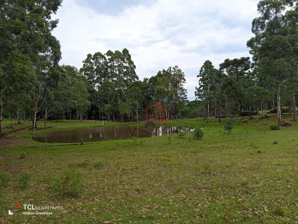 Sítio, 2 hectares - Foto 2