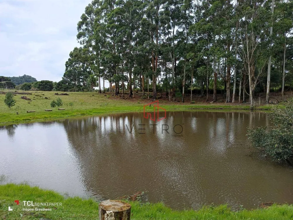 Sítio, 2 hectares - Foto 1