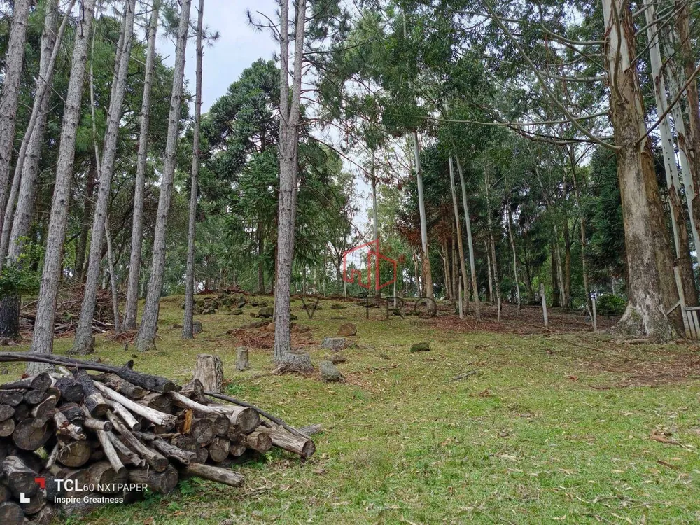 Sítio, 2 hectares - Foto 8