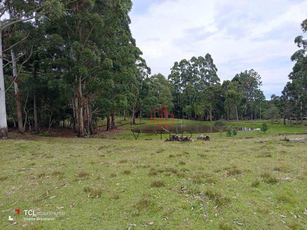 Sítio, 2 hectares - Foto 4