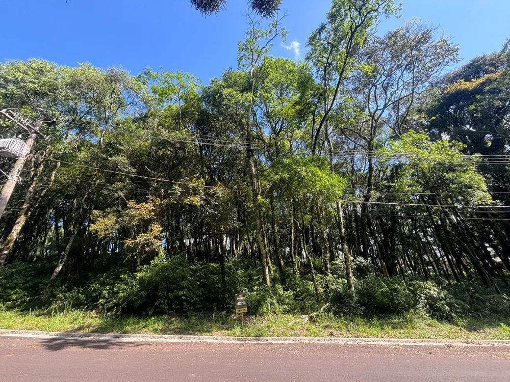 Loteamento e Condomínio, 800 m² - Foto 3