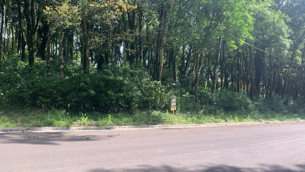 Loteamento e Condomínio, 800 m² - Foto 6