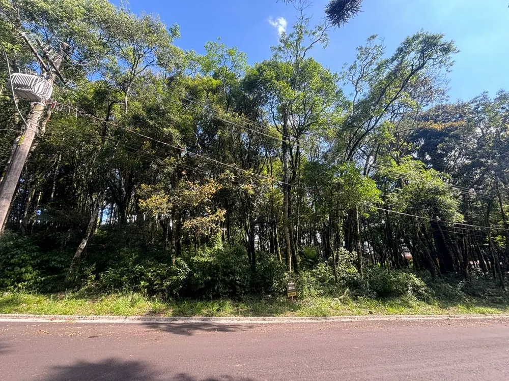 Loteamento e Condomínio, 800 m² - Foto 2