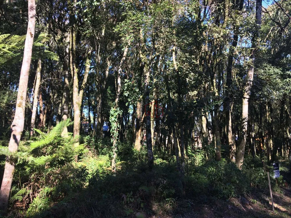 Loteamento e Condomínio, 800 m² - Foto 1