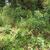Terreno, 810 m² - Foto 4