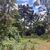 Terreno, 810 m² - Foto 5