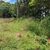 Terreno, 810 m² - Foto 2