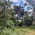 Terreno, 810 m² - Foto 1