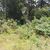 Terreno, 810 m² - Foto 6