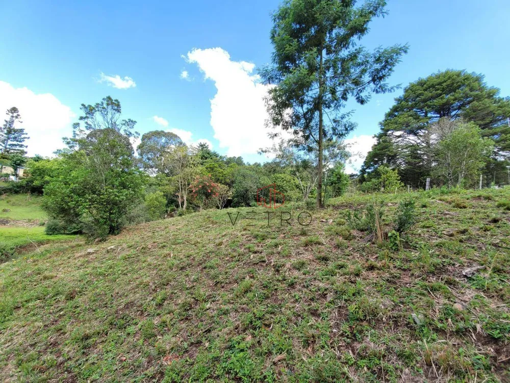 Terreno, 3934 m² - Foto 8