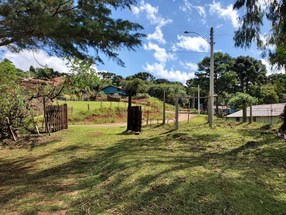 Terreno, 3934 m² - Foto 5