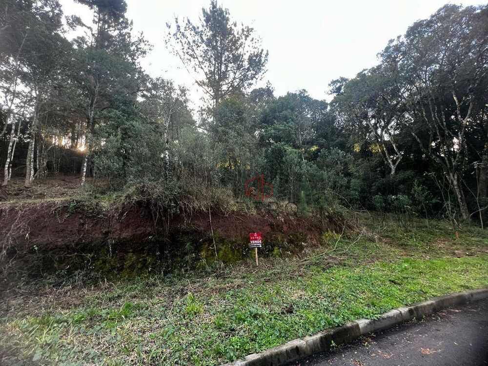 Loteamento e Condomínio, 480 m² - Foto 3
