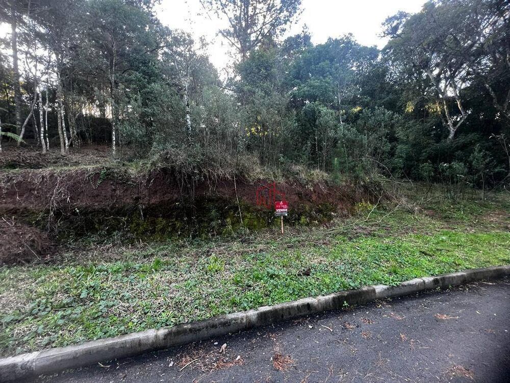 Loteamento e Condomínio, 480 m² - Foto 5