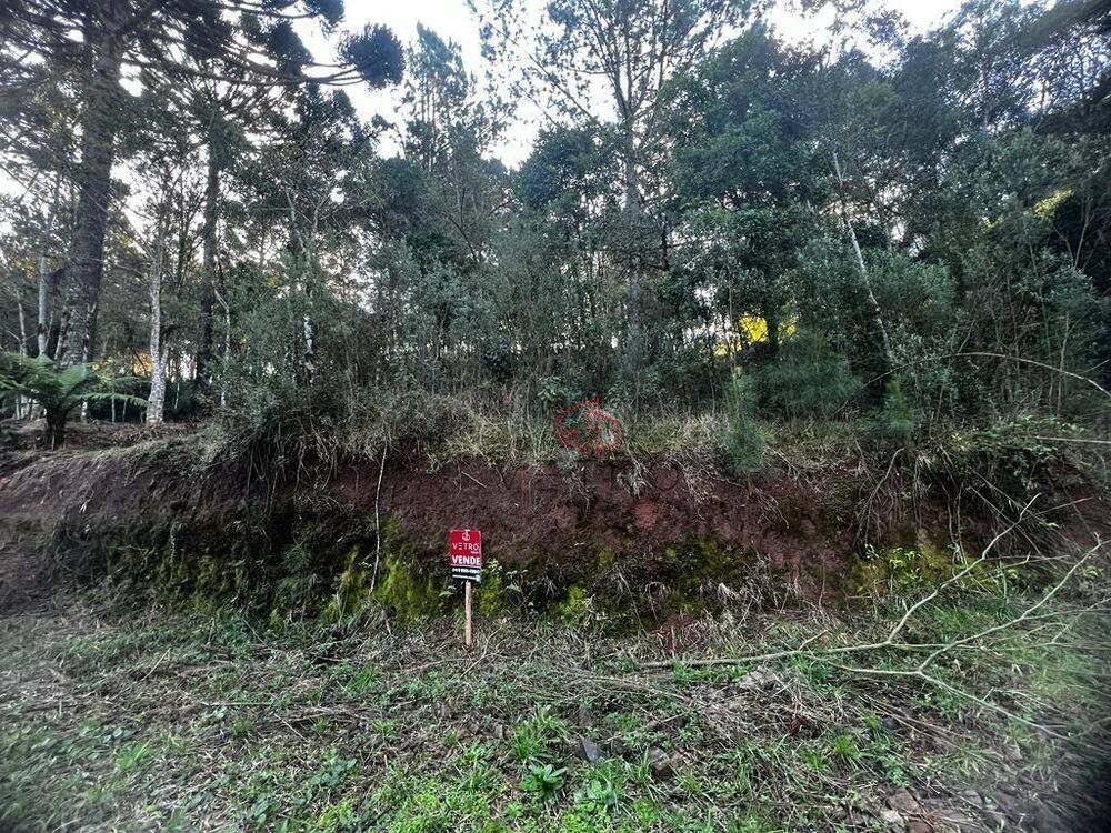 Loteamento e Condomínio, 480 m² - Foto 4