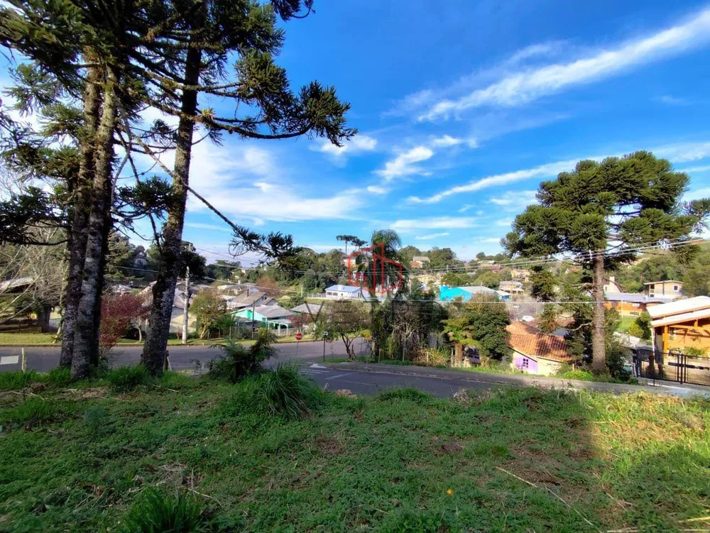 Terreno, 1235 m² - Foto 4