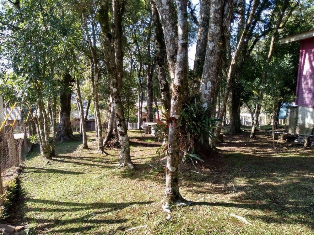 Terreno, 1153 m² - Foto 5