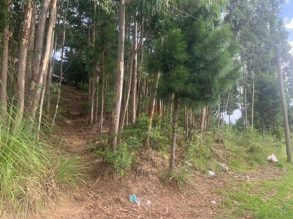 Terreno, 7790 m² - Foto 8