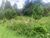 Terreno, 7790 m² - Foto 5