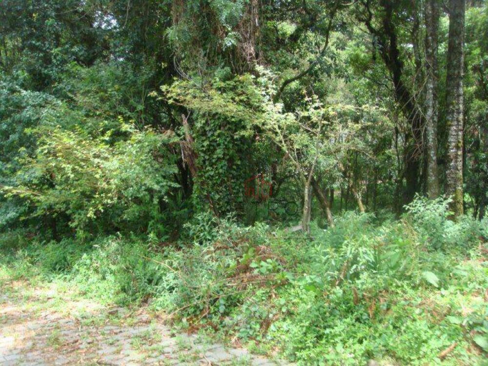 Terreno, 480 m² - Foto 4