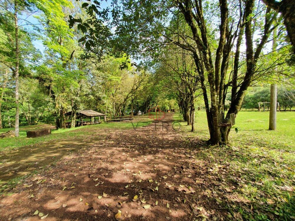 Sítio, 16 hectares - Foto 5