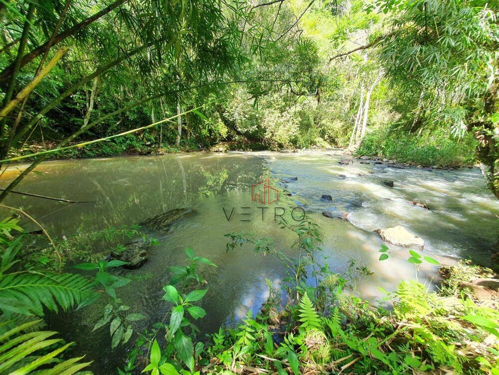 Sítio, 16 hectares - Foto 8