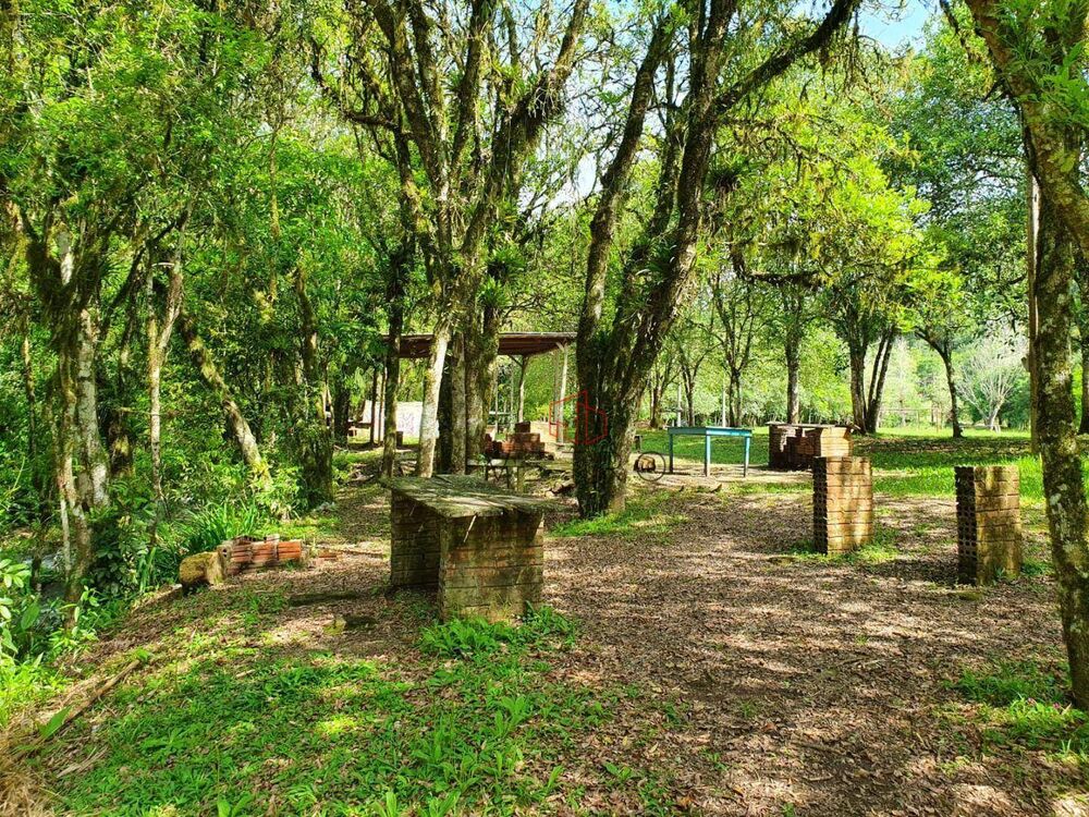 Sítio, 16 hectares - Foto 6