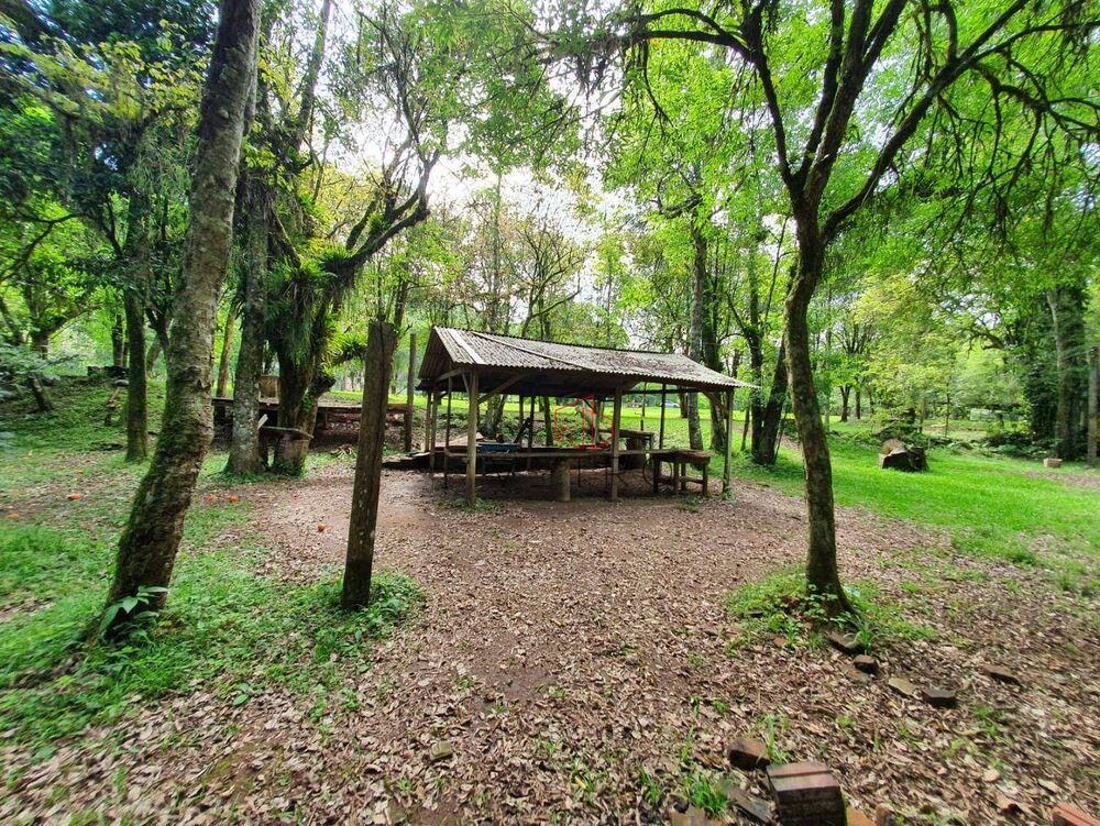 Sítio, 16 hectares - Foto 7