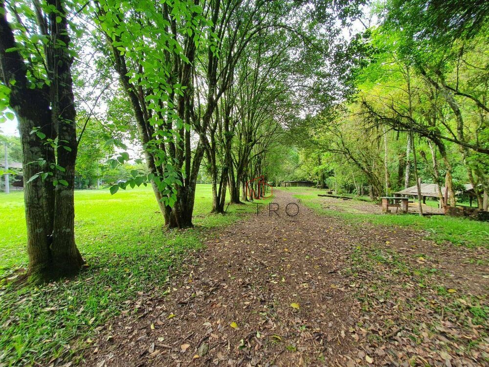 Sítio, 16 hectares - Foto 2