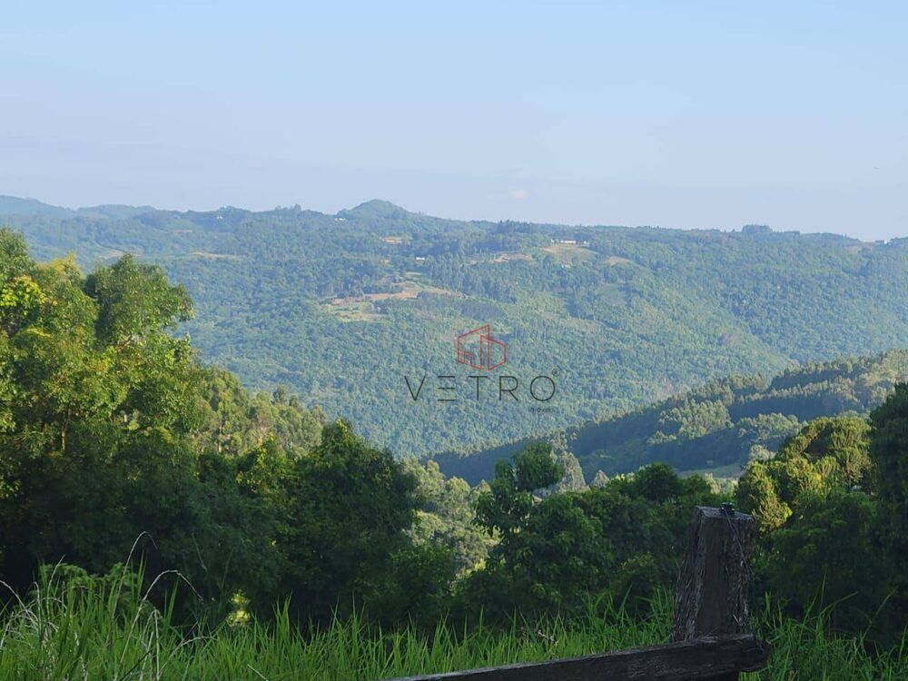 Sítio, 4 quartos, 8 hectares - Foto 8