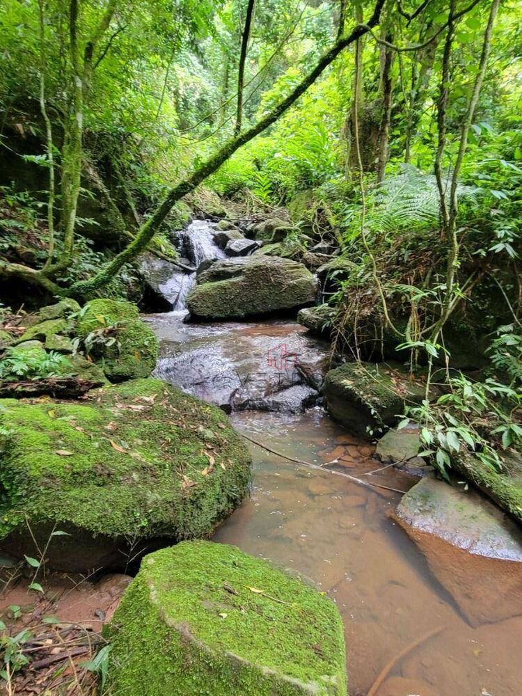 Sítio, 4 quartos, 8 hectares - Foto 4