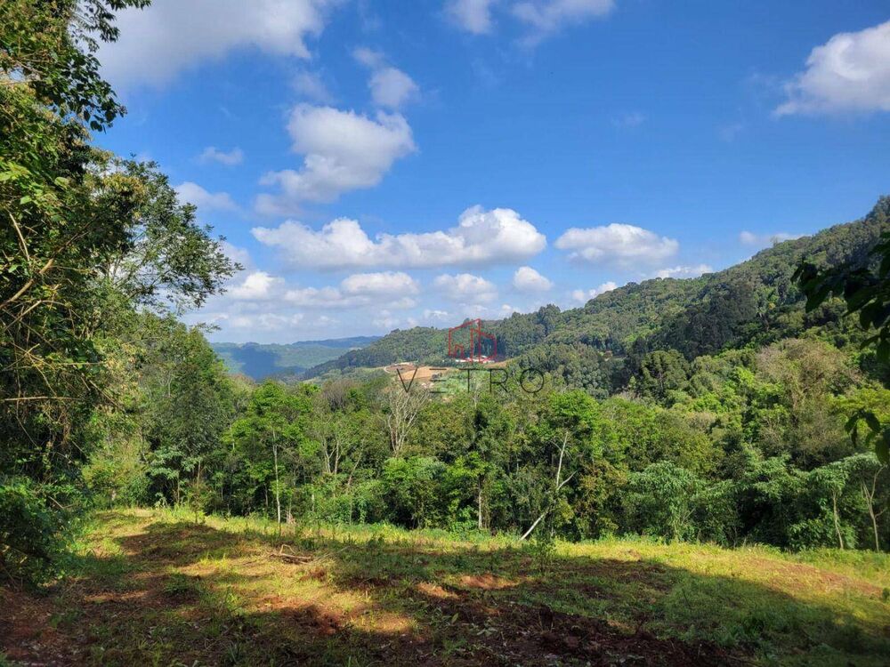 Sítio, 4 quartos, 8 hectares - Foto 2