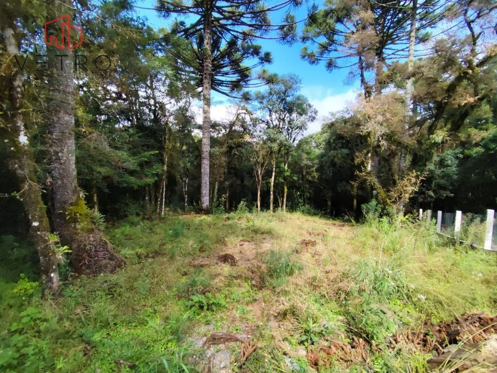 Loteamento e Condomínio, 550 m² - Foto 1