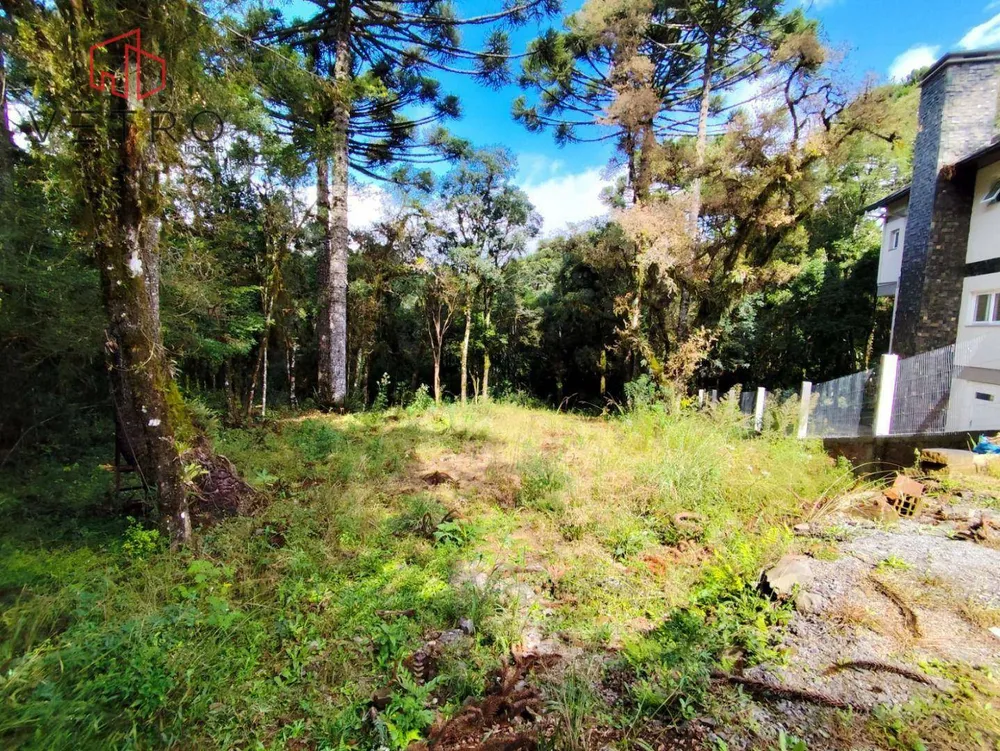 Loteamento e Condomínio, 550 m² - Foto 3