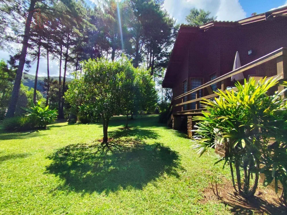 Sítio, 3 hectares - Foto 1