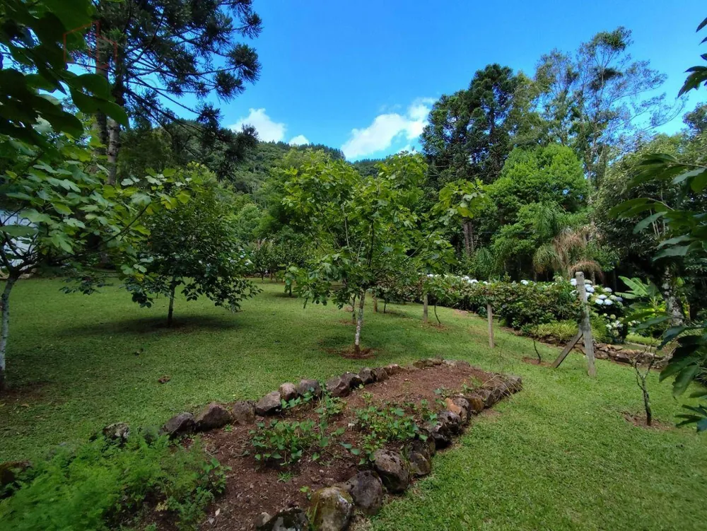 Sítio, 3 hectares - Foto 11