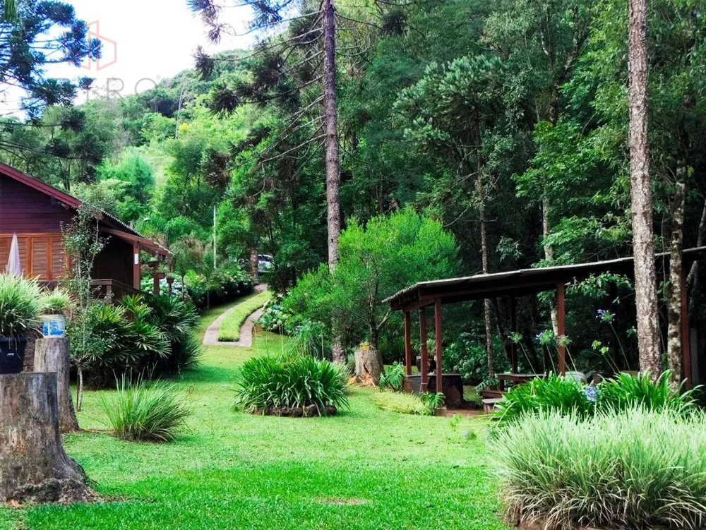 Sítio, 3 hectares - Foto 4