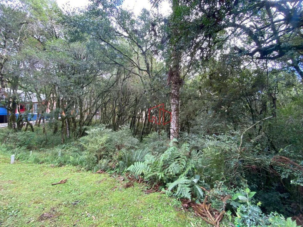 Loteamento e Condomínio, 744 m² - Foto 2