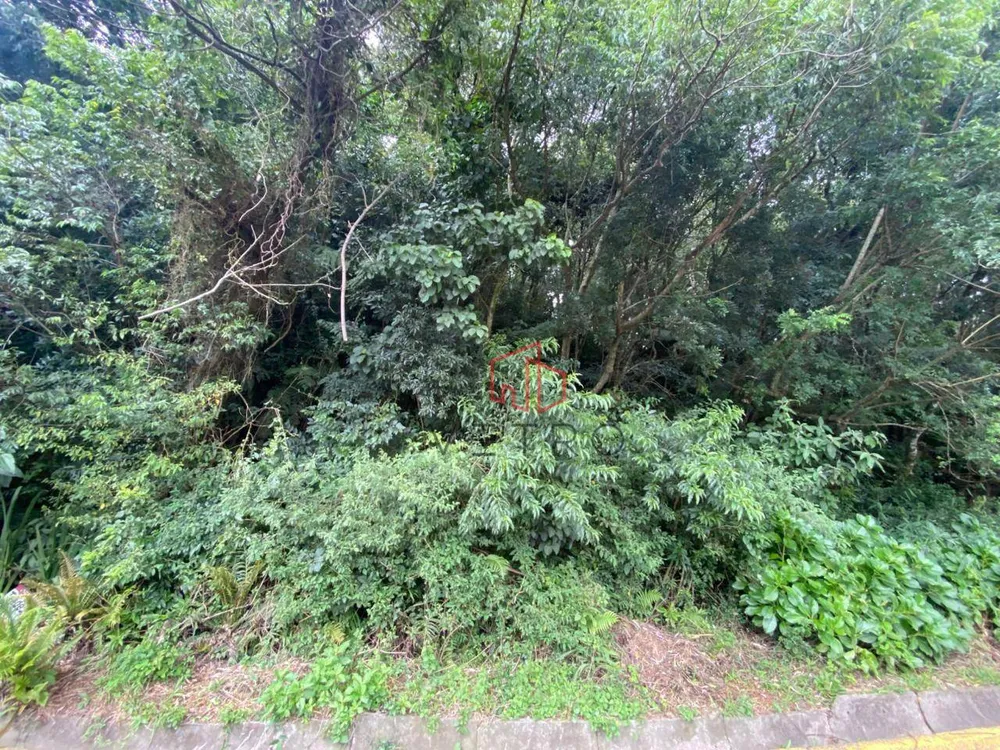 Terreno, 1200 m² - Foto 4
