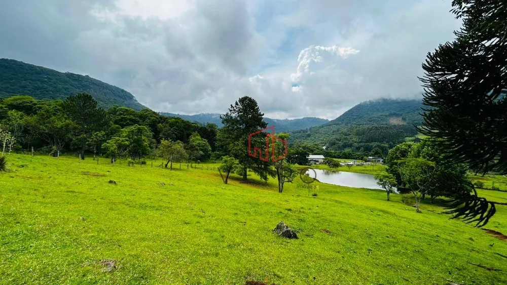 Sítio, 4 quartos, 28 hectares - Foto 16