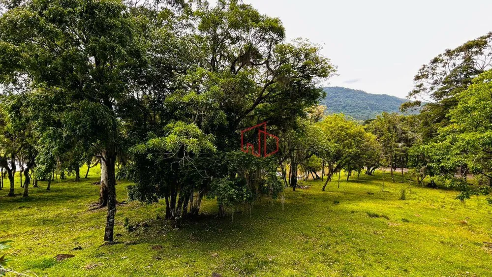 Sítio, 4 quartos, 28 hectares - Foto 14