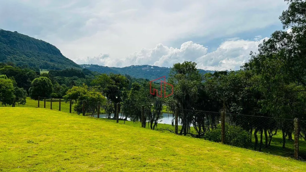 Sítio, 4 quartos, 28 hectares - Foto 12